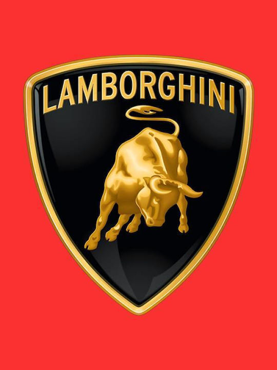 Takeposition Z-cool Small Logo Lamborghini Femeie Jachetă cu glugă Gri