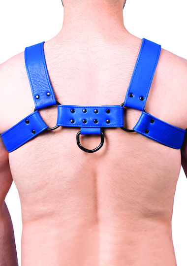 Kinksters Ανδρικό Harness Μπλε