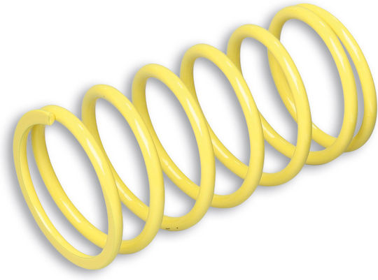 Malossi Clutch Spring for Yamaha T-MAX 500