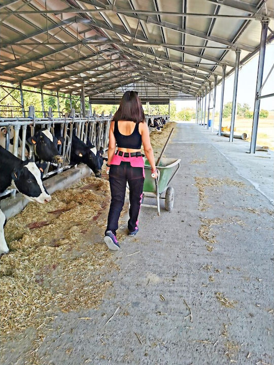 strongAnt Arbeitshose Schwarz