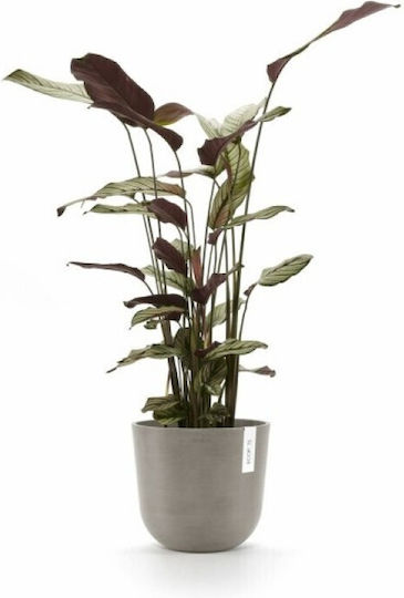 Ecopots Oslo
