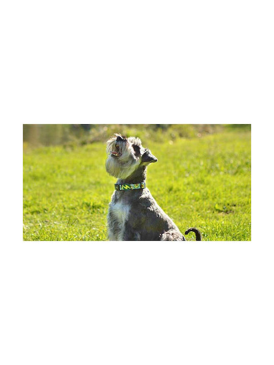 Dashi Dog Collar in Green color Small
