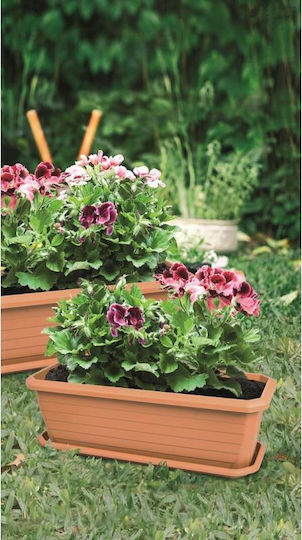 Viosarp Plastic Planter Box Orange 70x31x25cm
