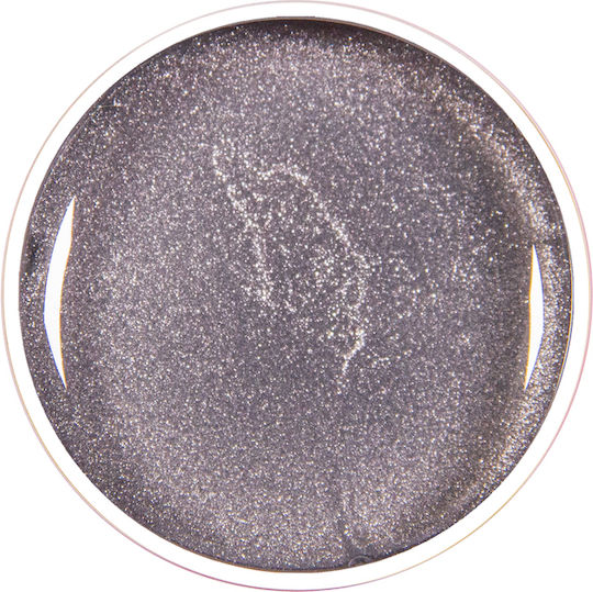 Alezori Nail Art Gel FLASH SILVER 5gr