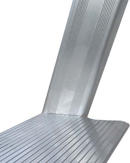 Profal Max110 Ladder Aluminum with 5+1 Steps 212cm