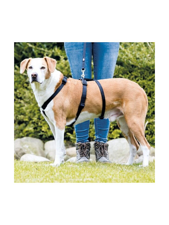 Trixie Dog Harness Stay Black Medium / Small 15mm x 40-65cm 13092