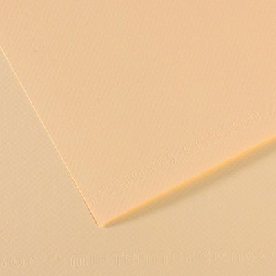 Canson Canson Cardboard Mi-Teintes Beige 50x65cm