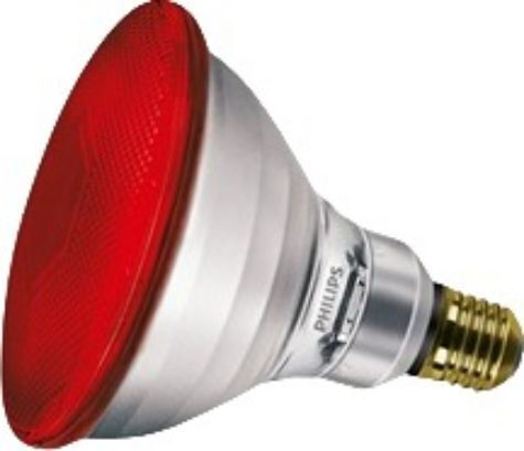 Λάμπα Πυρακτώσεως 175W για Ντουί E27 12τμχ