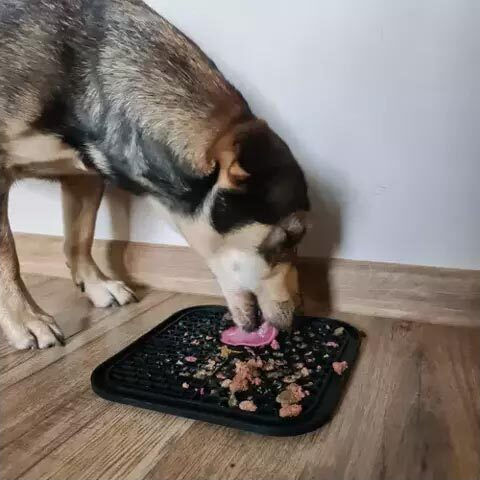 Purlov Schalen aus Silikon Futter Langsame Fütterung für Hund & Katze in Schwarz Farbe