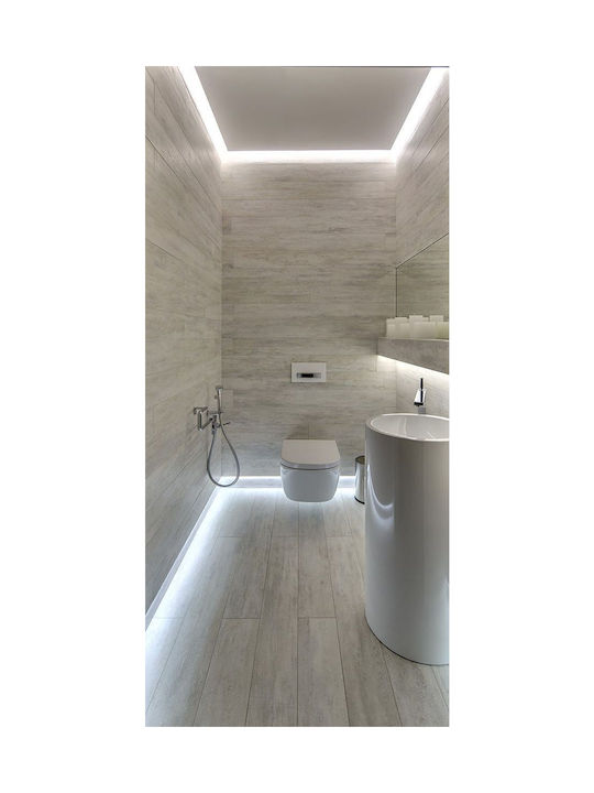 Vivalux Dafne Modern Lamp Wall with Integrated LED and Natural White Light Silver 50x7.5x5cm