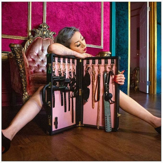 Temptasia Safe Word - Bondage Kit with Suitcase BDSM Kit in Rosa Farbe 13Stück