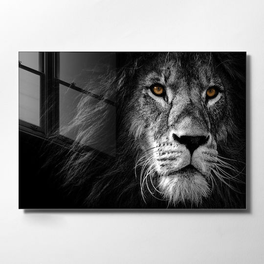 Πίνακας Γυάλινος 70x100cm