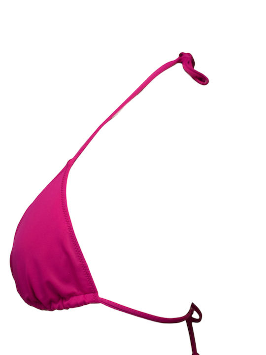 Fuchsie