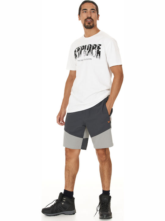 Men's Shorts Gray