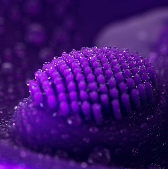ToyFa Vibrator Δονητής για Ζευγάρια Μωβ