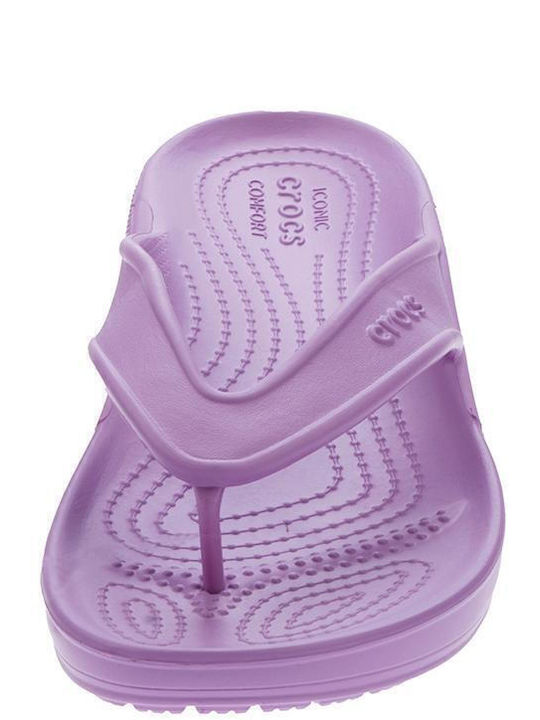 Classic II Flip Flip Flops in Purple Colour