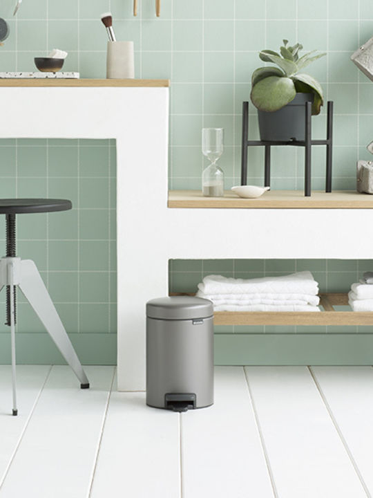 Brabantia Inox Bathroom Basket Soft Close 3lt Gray