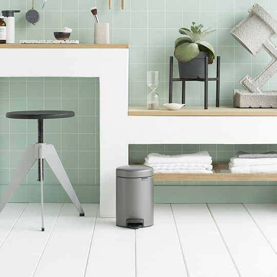 Brabantia Inox Bathroom Basket Soft Close 3lt Gray