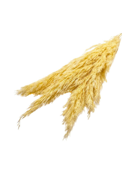 Ramură Decorativă Artificială Pampas Grass Yellow 3buc