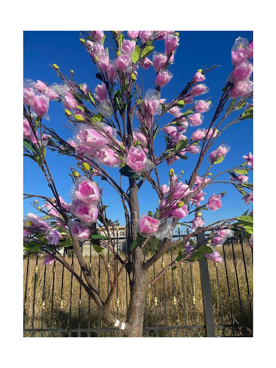 Magnolia Outdoor Tree Pink