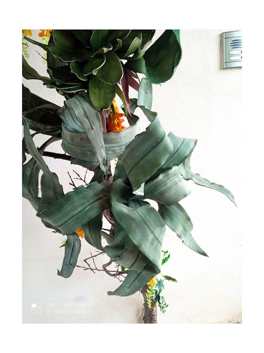 Decorative Artificial Plant Succulent Plant δέντρο 220cm 1pcs