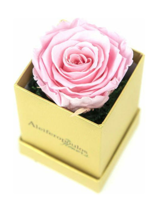 Trandafir Etern Pink în cutie Aleiferopoulos Flowers