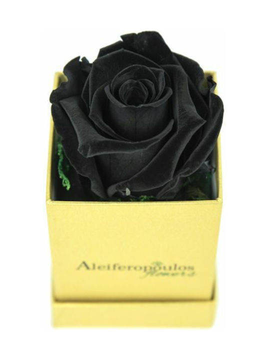 Παντοτινό Τριαντάφυλλο Μαύρο σε Κουτί Aleiferopoulos Flowers
