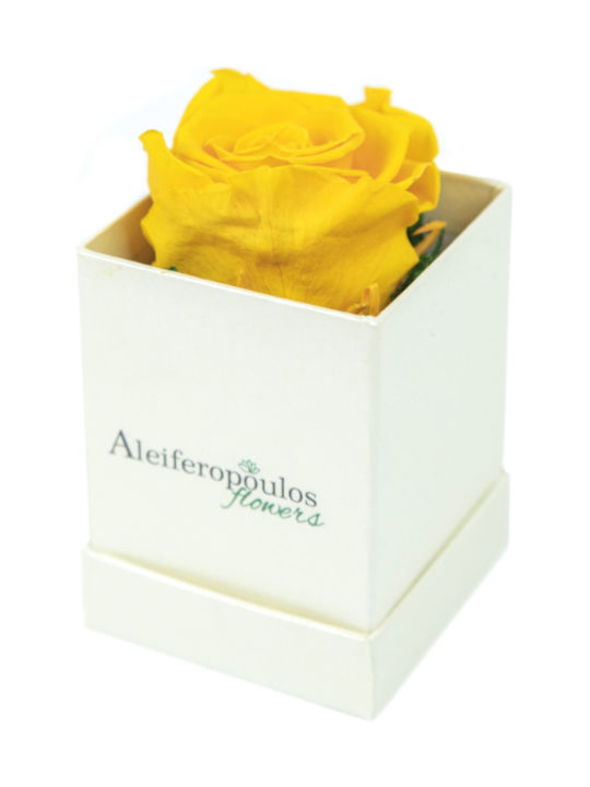 Aleiferopoulos Flowers Eternal Rose Yellow in Box 1pcs