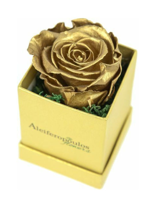 Aleiferopoulos Flowers Eternal Rose Gold in Box 1pcs