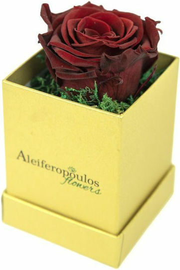 Ewige Rose Gold in Box Aleiferopoulos Flowers