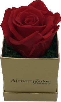 RB20 Aleiferopoulos Flowers RB20 Aleiferopoulos Flowers