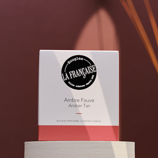 Bougies La Francaise Ароматична Свещ в Буркан с Аромат Амбре Фов 200гр