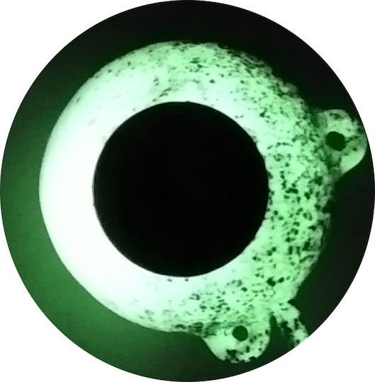 X-Paragon Ancora pentru Pescuit