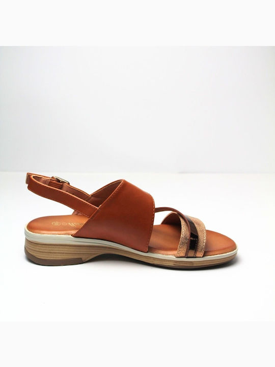 Plato Leather Women's Flat Sandals in Tabac Brown Color