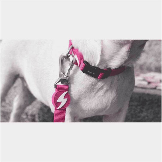 Dashi Dog Leash/Lead Strap in Pink color 1.2m x 2.5cm DL00030