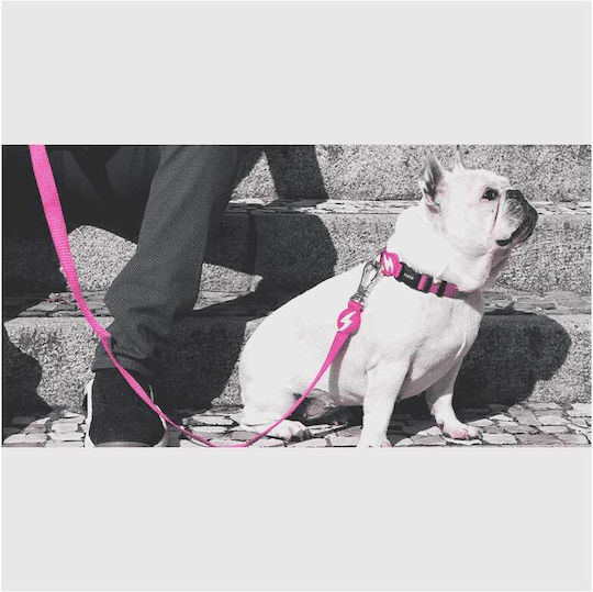 Dashi Dog Leash/Lead Strap in Pink color 1.2m x 2.5cm DL00030