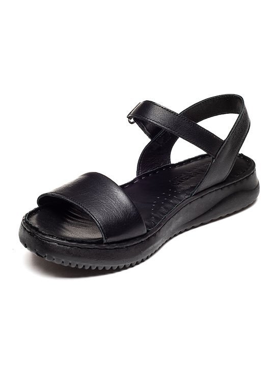 Air Anesis