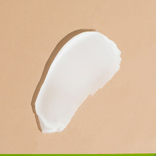 Urban Veda Purifying Ενυδατική Κρέμα Προσώπου Ημέρας 50ml