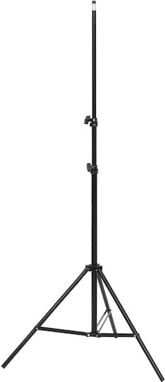 vidaXL Fotostudio-Set Lichter Schirm für Studio