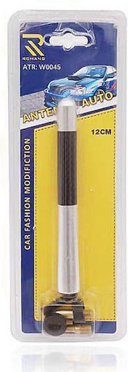Rchang Car Antenna Roof Magnetic in Black Color