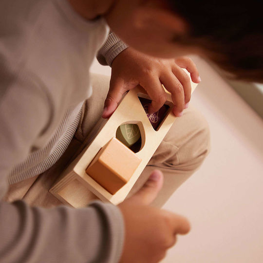 Filibabba Formensortierspiel Shape Sorter aus Holz für 18++ Monate