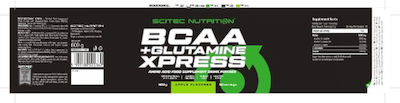 Scitec Nutrition BCAA + Glutamine Xpress 2:1:1 Mojito