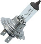 Carpoint Lampen Auto H7 Halogen Warmes Weiß 12V 55W 1Stück