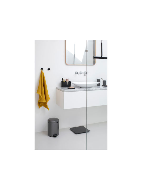 Brabantia Haken Badezimmer Doppelt Aufkleber Gray