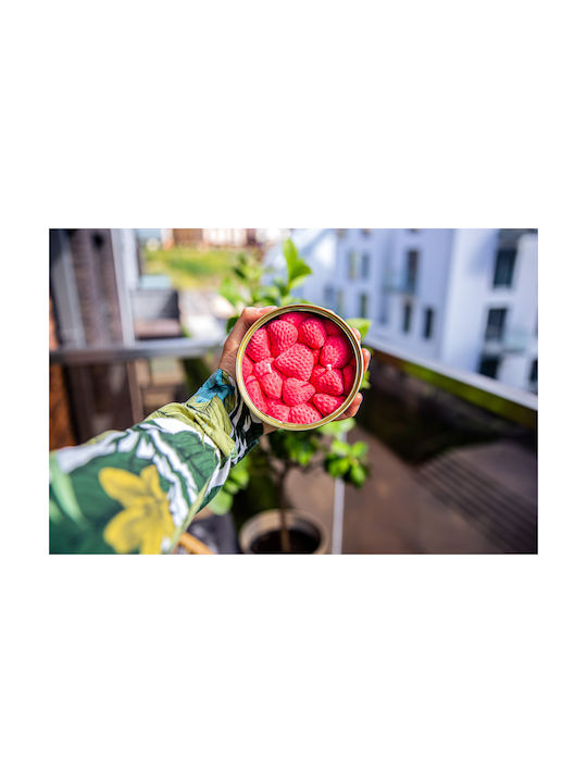 Candlehand Αρωματικό Κερί με Άρωμα Ripe Strawberries 300gr