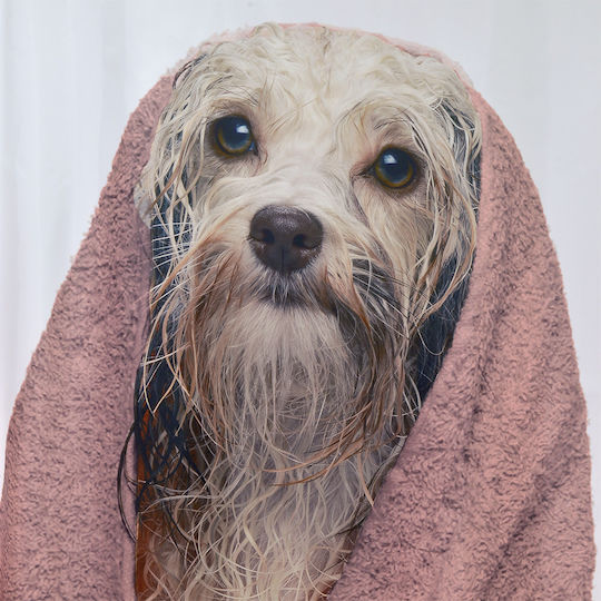 Lino Home Dogga Shower Curtain 180x200cm Pink