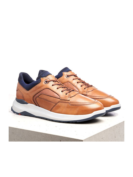 Sneakers Brown