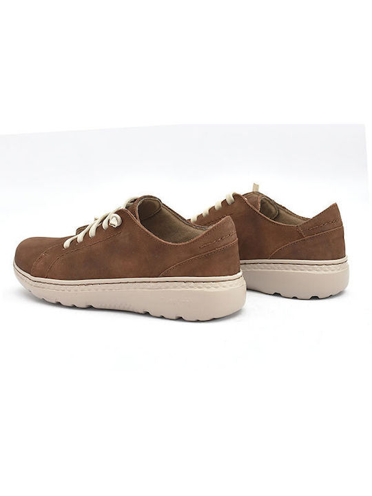 Baerchi Anatomical Sneakers Brown