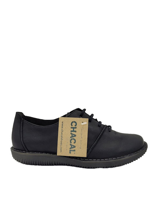 Anatomical Sneakers Black