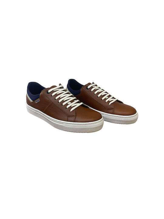 Himalaya Sneakers Tabac Brown